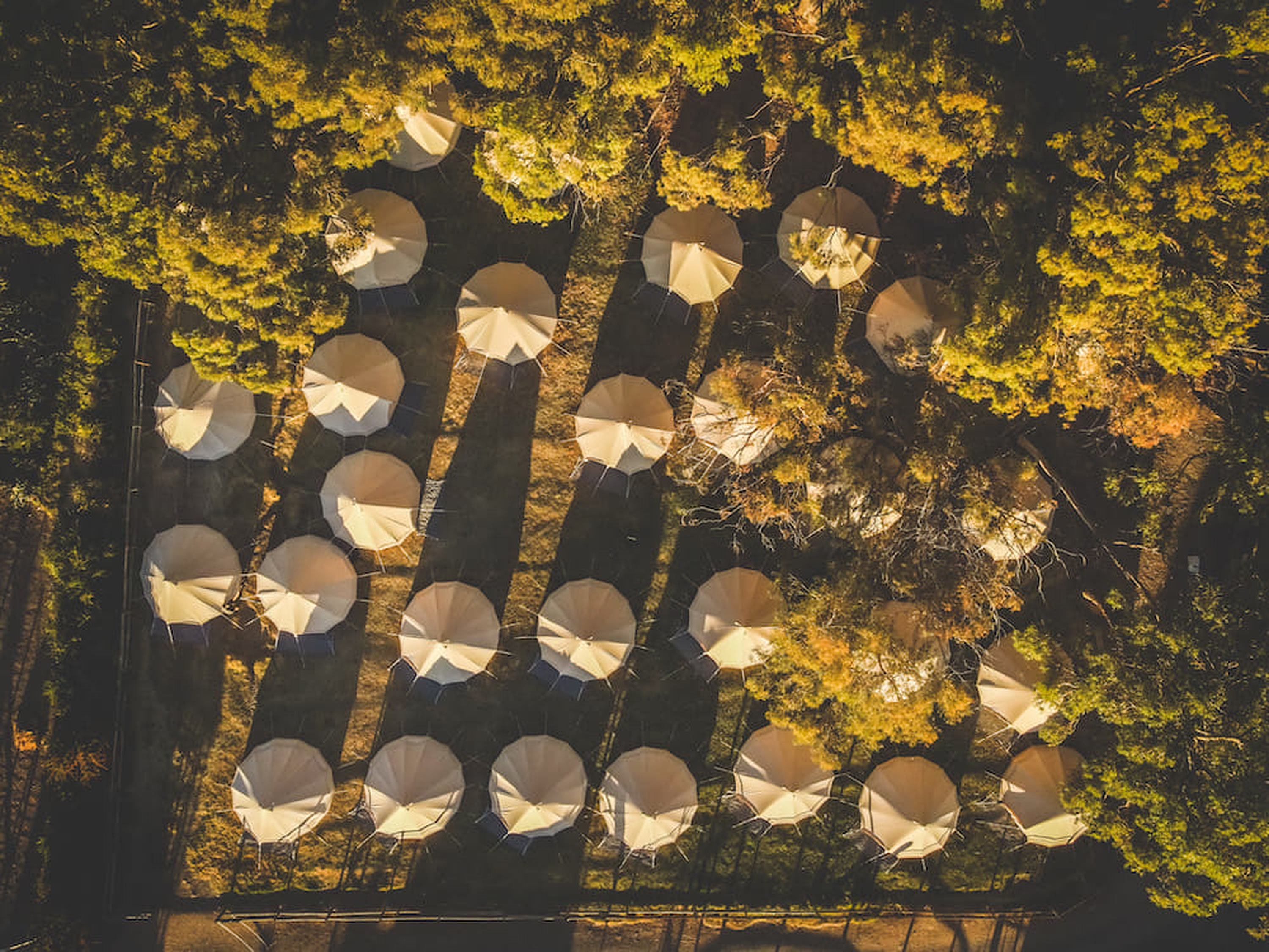 Aerial view of an Expedition Glamping camp among Karoo trees